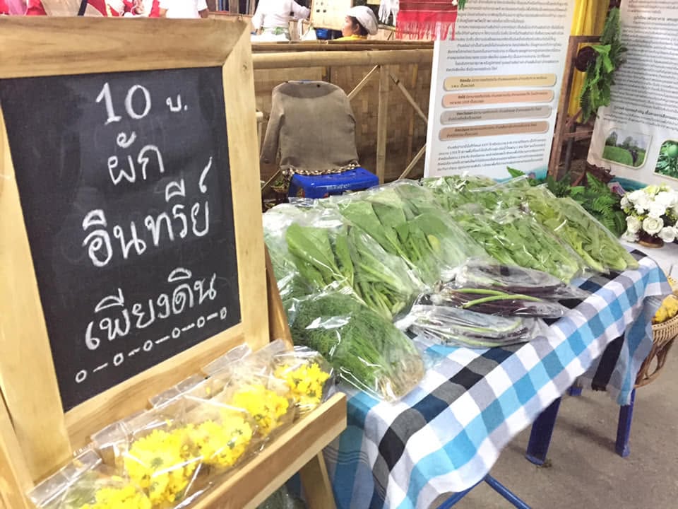 กาดเพียงดิน